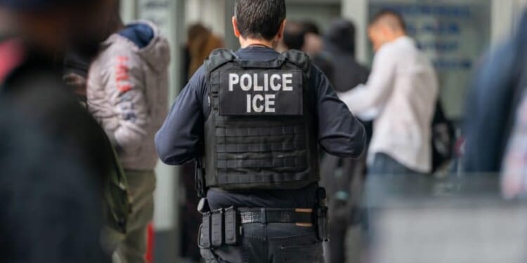 ICE Op. in Minnesota Nabs Violent Gang Members, Domestic Abusers, and More: Report