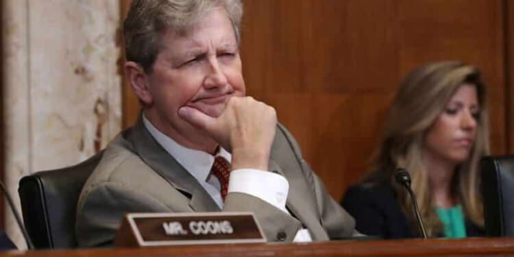 'In America, You Have the Right to Do Dumb Things' [WATCH]