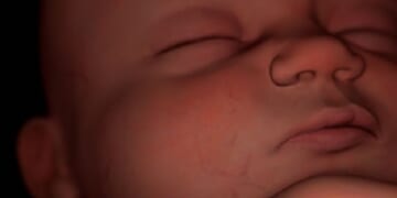 Ireland Rejects Bill for Abortions Up to Birth