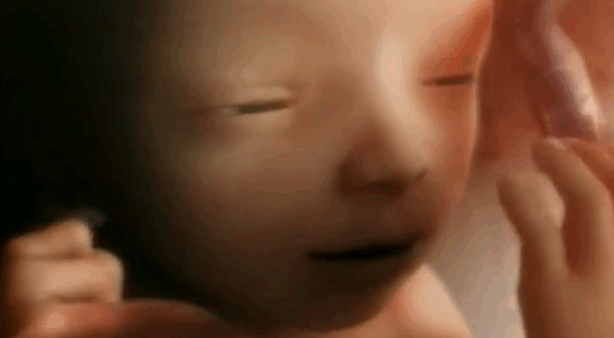 Kansans for Life Calls Upon Gov Laura Kelly to Release Abortion Statistics