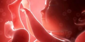 New Puerto Rico Law Says Unborn Babies are People From Conception