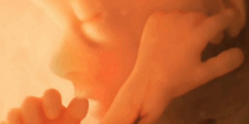 North Dakota Confirms There’s No Right to Kill Babies in Abortions