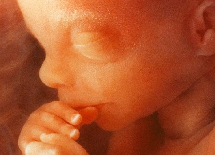 Northern Ireland Kills a Record 2,899 Babies in Abortions