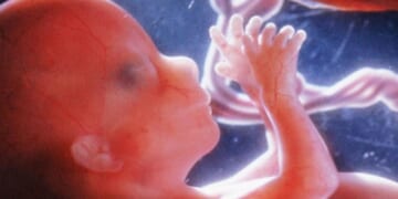 Ohio House Passes Bill to Educate Students About the Development of Unborn Babies