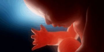 Pennsylvania Will Vote on Radical Pro-Abortion Bills This Week