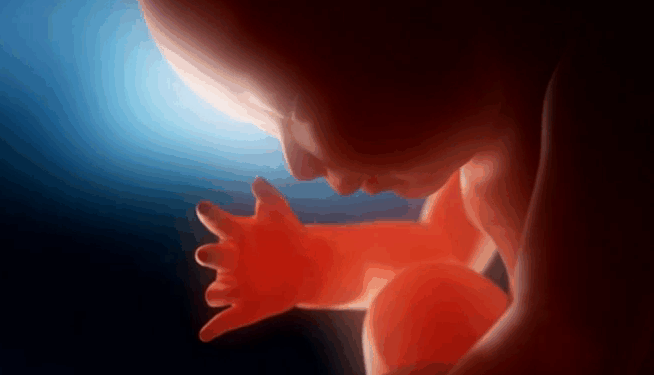 Pennsylvania Will Vote on Radical Pro-Abortion Bills This Week