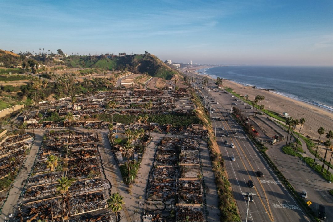 Putting Plants Before People Prompted Palisades Fire, Plaintiffs and Papers Postulate