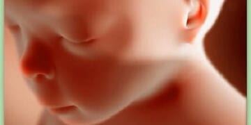 Stop the Pro-Abortion Amendment in Pennsylvania