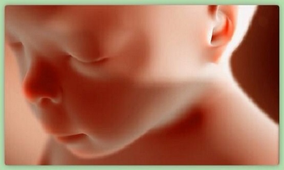 Stop the Pro-Abortion Amendment in Pennsylvania