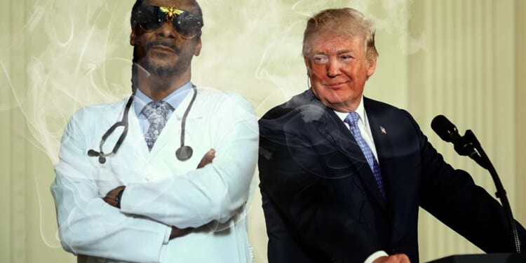 Image for article: Trump Eases Marijuana Restrictions After Reviewing Extensive Research By Dr. S. Dogg