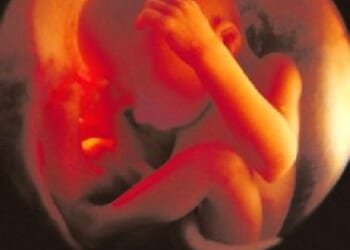 Virginia Abortion Amendment is So Radical It Allows Abortions Up to Birth