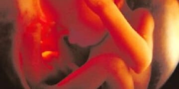 Virginia Abortion Amendment is So Radical It Allows Abortions Up to Birth