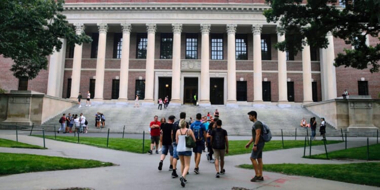 Forever War — on Whites: Harvard Has Gone Full Racist