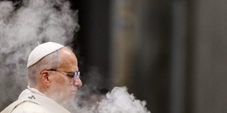 Pope Leo to consistory Cardinals: 'Pause and reflect'