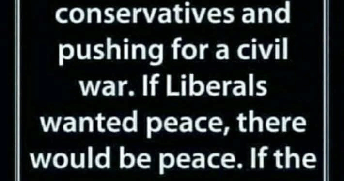Something for leftists to think about as we all get ushered down the road toward civil war