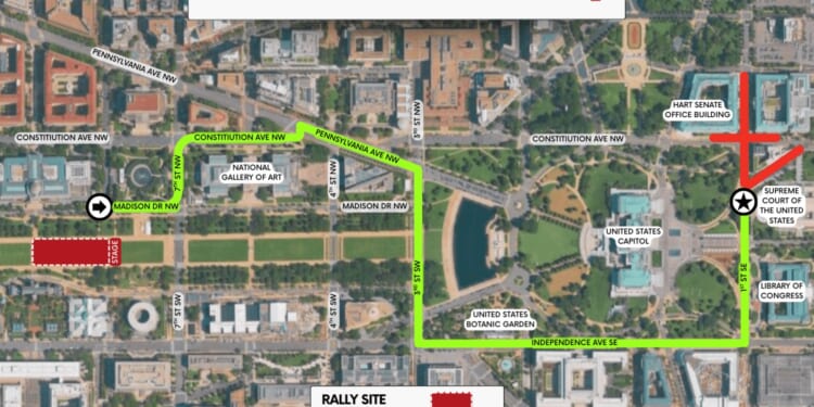 Why We March - The Catholic Thing