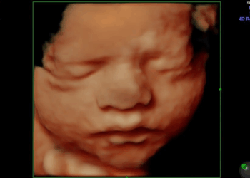 Abortion Activists Want to Overturn Arkansas Abortion Ban