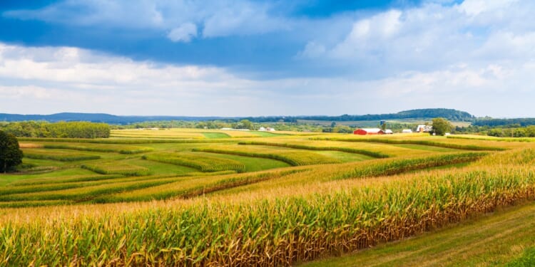 Another Stab at Carbon-capture Eminent-domain Reform in Iowa