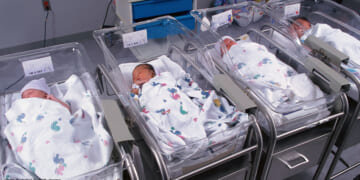 Buying Baby Boys on a Mass Scale: America Has a Surrogacy Problem