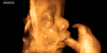 Catholic Bishops Blast Abortion: "Thousands of Unborn Children Lose Their Lives Every Month"