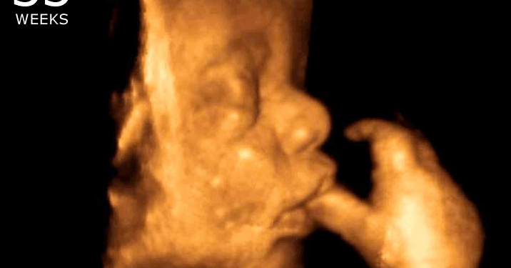 Catholic Bishops Blast Abortion: "Thousands of Unborn Children Lose Their Lives Every Month"