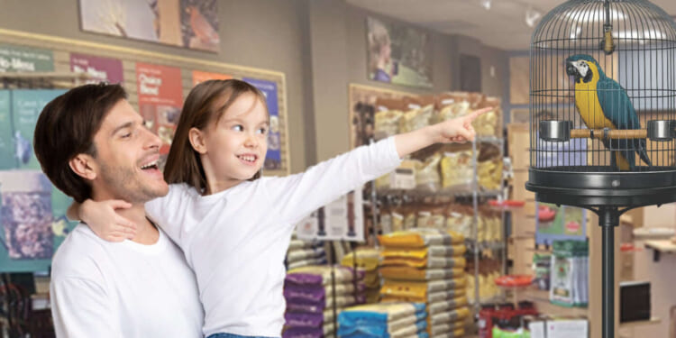 Image for article: 'Daddy, Can I Get A Bird?' Says Daughter To Dad Who's About To Make A Very Big Mistake