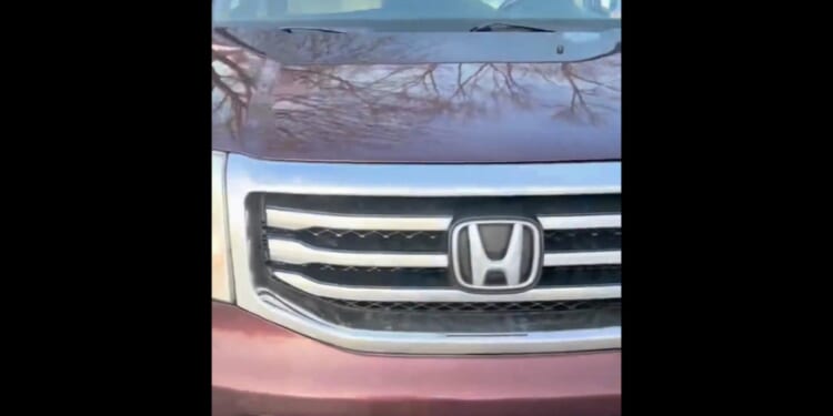 ICE Agent’s Cellphone Footage Clearly Shows Woman Attempted to Run Him Down Before Shooting