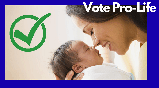 New Hampshire Legislators Pass Two Pro-Life Bills on Abortion