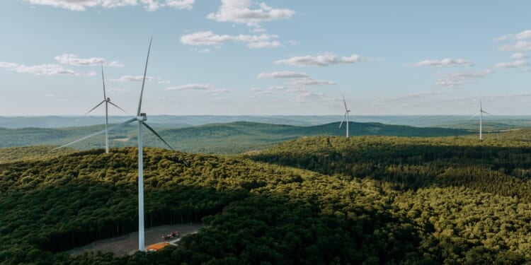 New York Demolition Exposes Wind Waste and Taxpayer Fraud