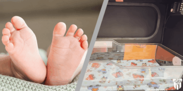 Safe Haven Box Saves Texas Baby From Infanticide