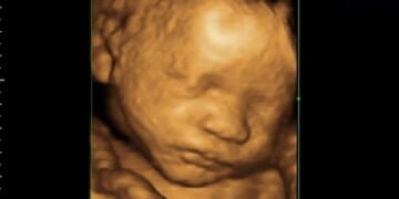 South Carolina Panel Passes Pro-Life Bill to Stop Mail-Order Abortion Drugs