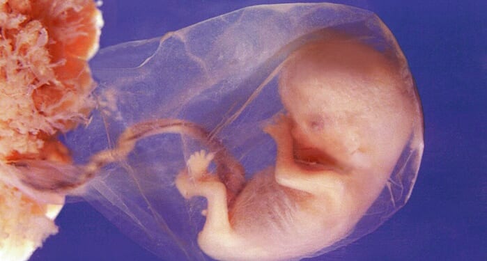 Stop Mail-Order Abortion Drugs in South Carolina