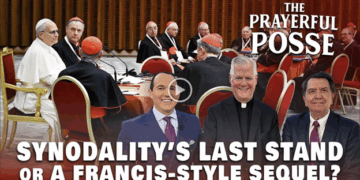 Synodality’s Last Stand? Will Leo’s Meeting of Cardinals Undo Francis’ Reforms?