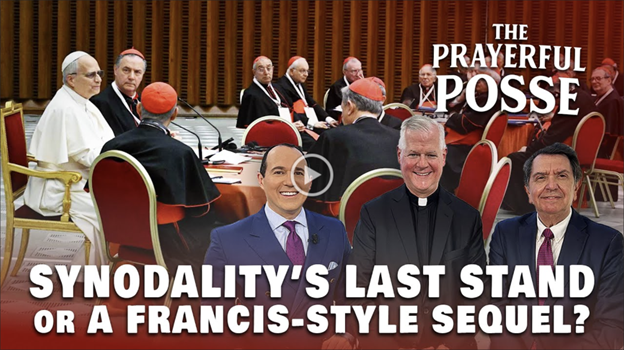 Synodality’s Last Stand? Will Leo’s Meeting of Cardinals Undo Francis’ Reforms?