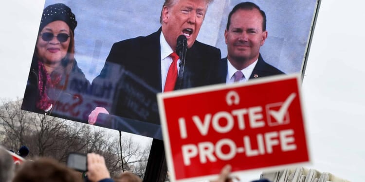 Taxpayer Money Should Never Go to Planned Parenthood For Any Reason Ever