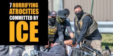 Image for article: The Bee Reports: ICE's 7 Most Horrifying Atrocities