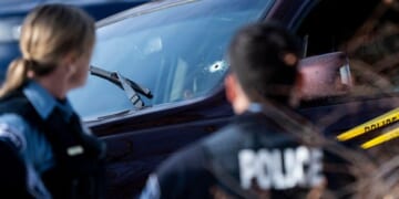 The Left Bears FULL Blame for the Minneapolis ICE Shooting