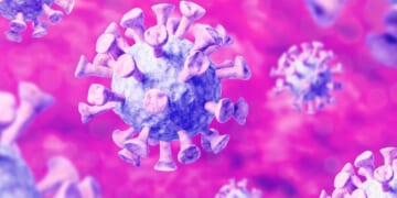 The Next Pandemic Scare? Scientists Warn of Emerging Viruses.