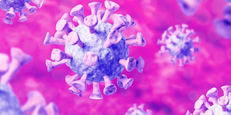 The Next Pandemic Scare? Scientists Warn of Emerging Viruses.