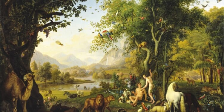 The Special Anthropology of Transgenderism