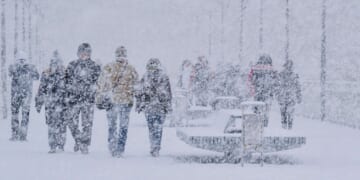 Image for article: Too Cold To Start Civil War Right Now, Nation Agrees