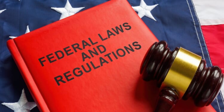 Trump Administration Cuts Federal Regulations in 2025