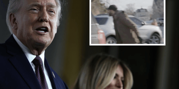 Trump Blasts Pretti as 'Agitator' After Viral Video of 'Screaming and Spitting' at ICE Agents