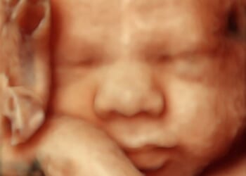 Utah Asks Judge to Allow Abortion Ban to Go Into Effect, Save Babies