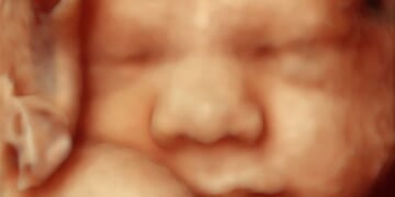 Utah Asks Judge to Allow Abortion Ban to Go Into Effect, Save Babies