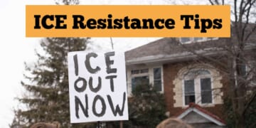 Image for article: Want To Resist ICE? Here Are 12 Things You Can Do Today
