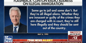'Whether They're Guilty or Innocent of Crimes, They are Here Illegally and Should Be Sent Out of the Country'
