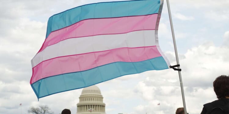 Image for article: American Society Of Plastic Surgeons Recommends No Longer Doing Those Surgeries That No One Was Doing