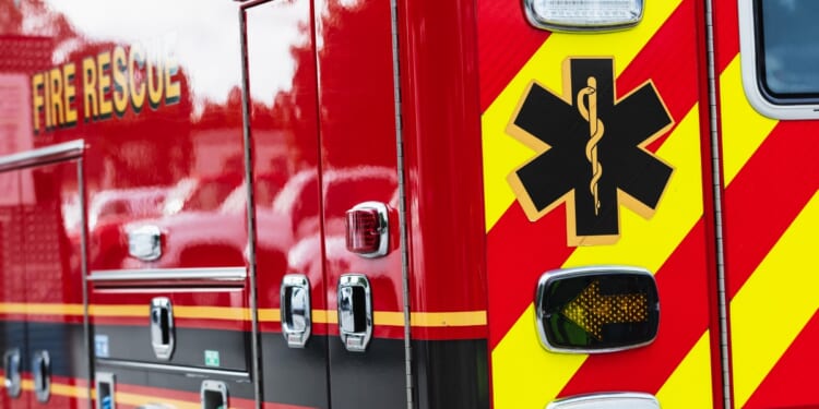 Idaho Cops: DHS Facility Target of Attempted Arson Attack