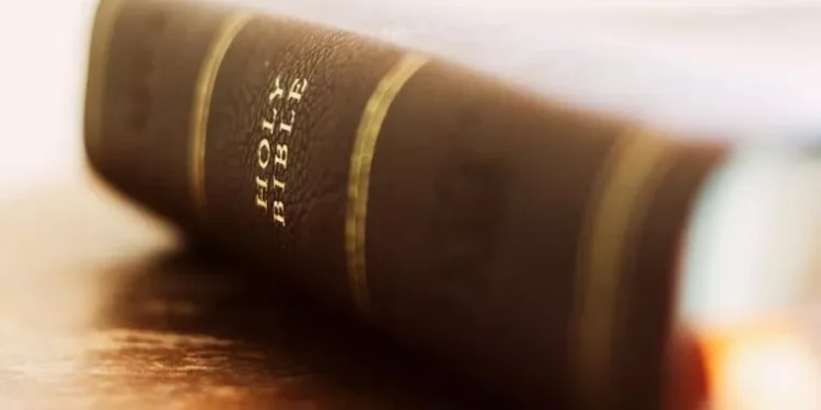 ‘A Cathedral in Print’: The rise of Catholic premium Bibles